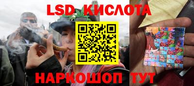 прущие грибы Партизанск