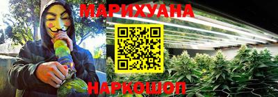прущие грибы Партизанск