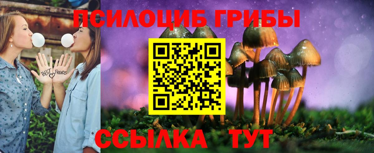 Северск  что такое   Вход с VPN  Псилоцибиновые грибы Psilocybe 