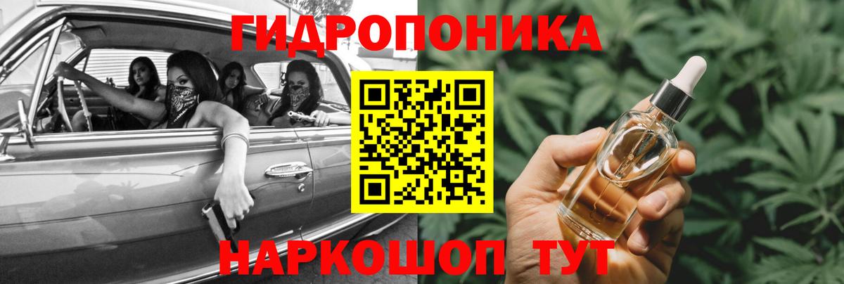 Каннабис гибрид Северск